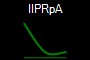 IIPRpA